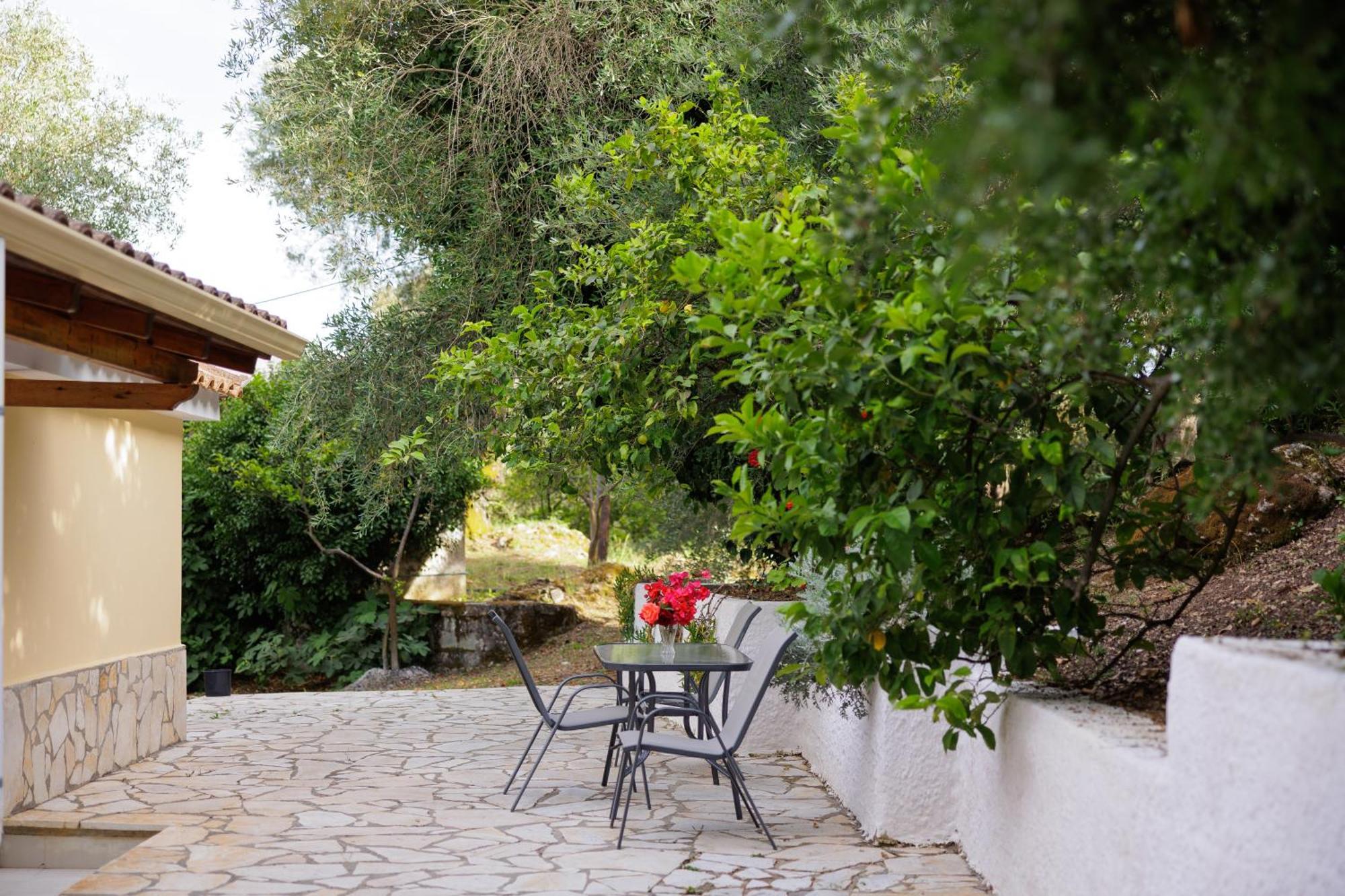 Santos Holidays Dassia  Exterior photo